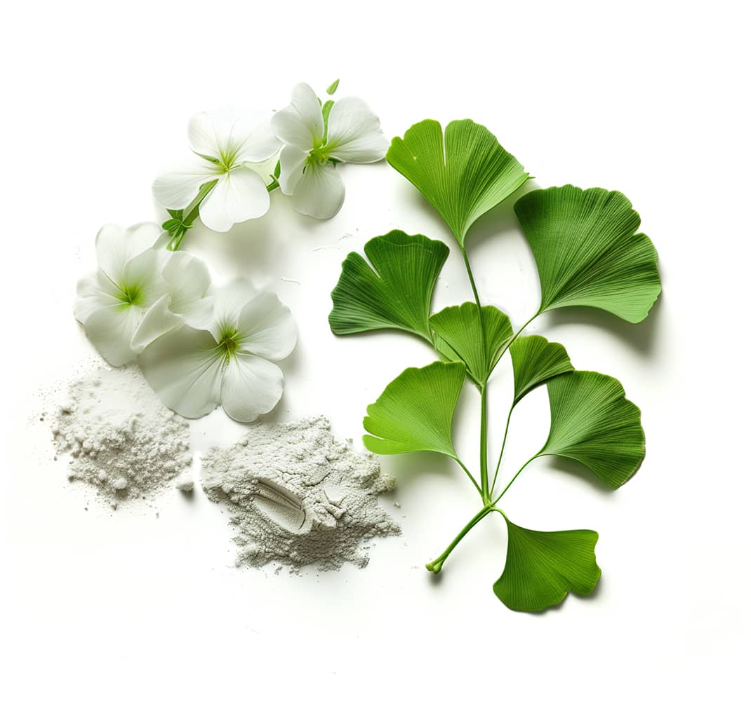 Vitacholine, Bacopa, Huperzine A, Ginkgo Biloba